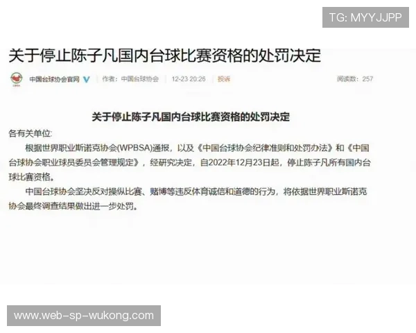 停赛规则细则拆解：哪些情况会导致球员被禁赛？