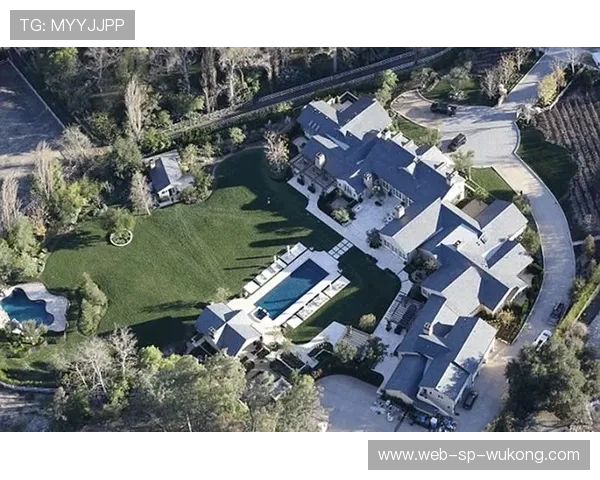 伊布跟豪宅里的金壁辉煌，平时却像个刚下班的邻居大叔...