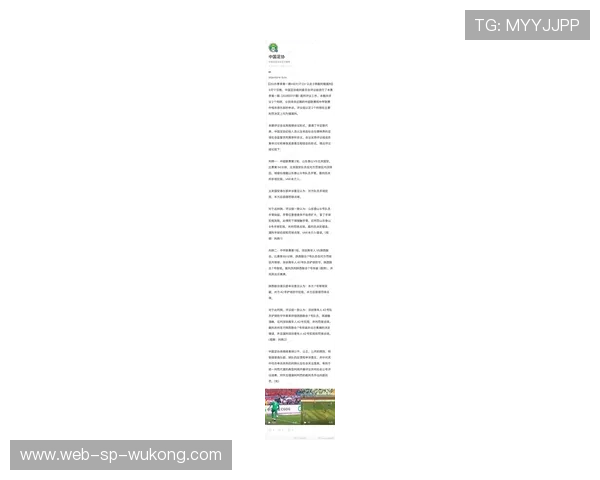 手球判罚标准为何越来越严格？最新规则深度解读