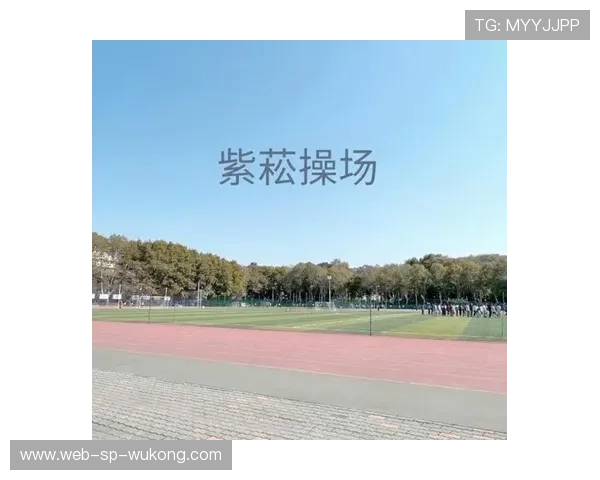 深入解析篮球场上判罚取消规则的判定逻辑